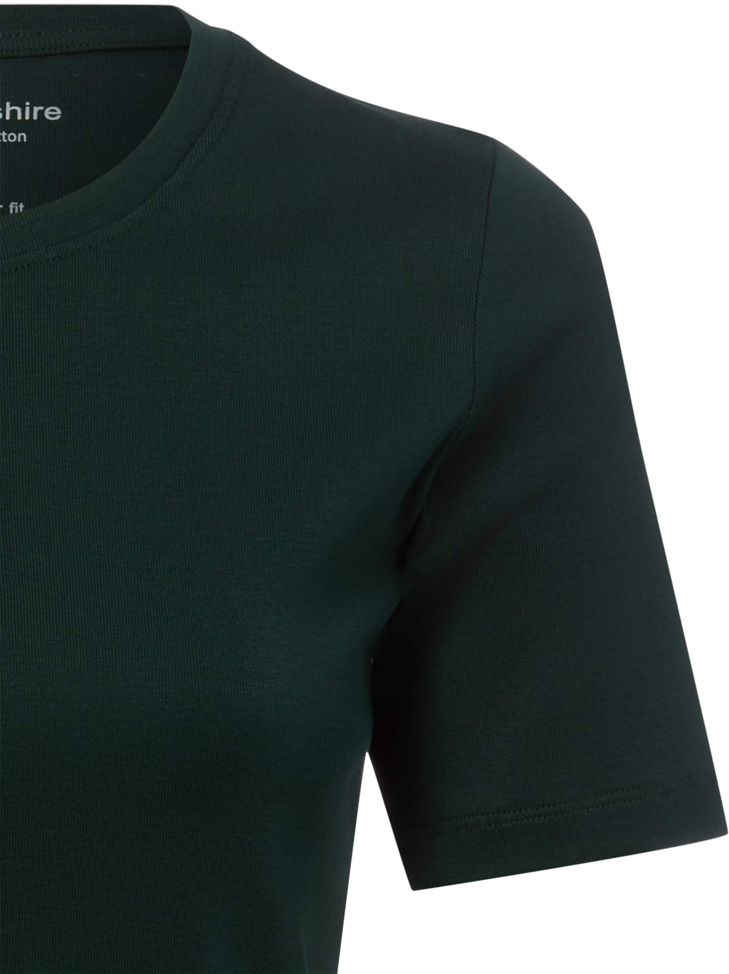 Brookshire Shirt in Green