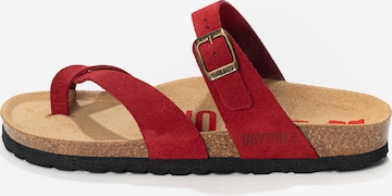 raudona Bayton Šlepetės per pirštą 'Diane': priekis