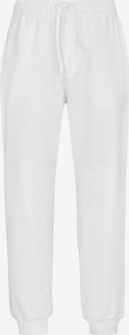 REPLAY Regular Broek in Wit: voorkant