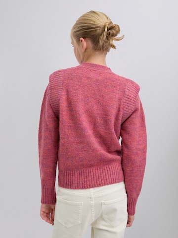 Scalpers Свитер в Красный