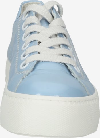 Paul Green Sneaker in Blau