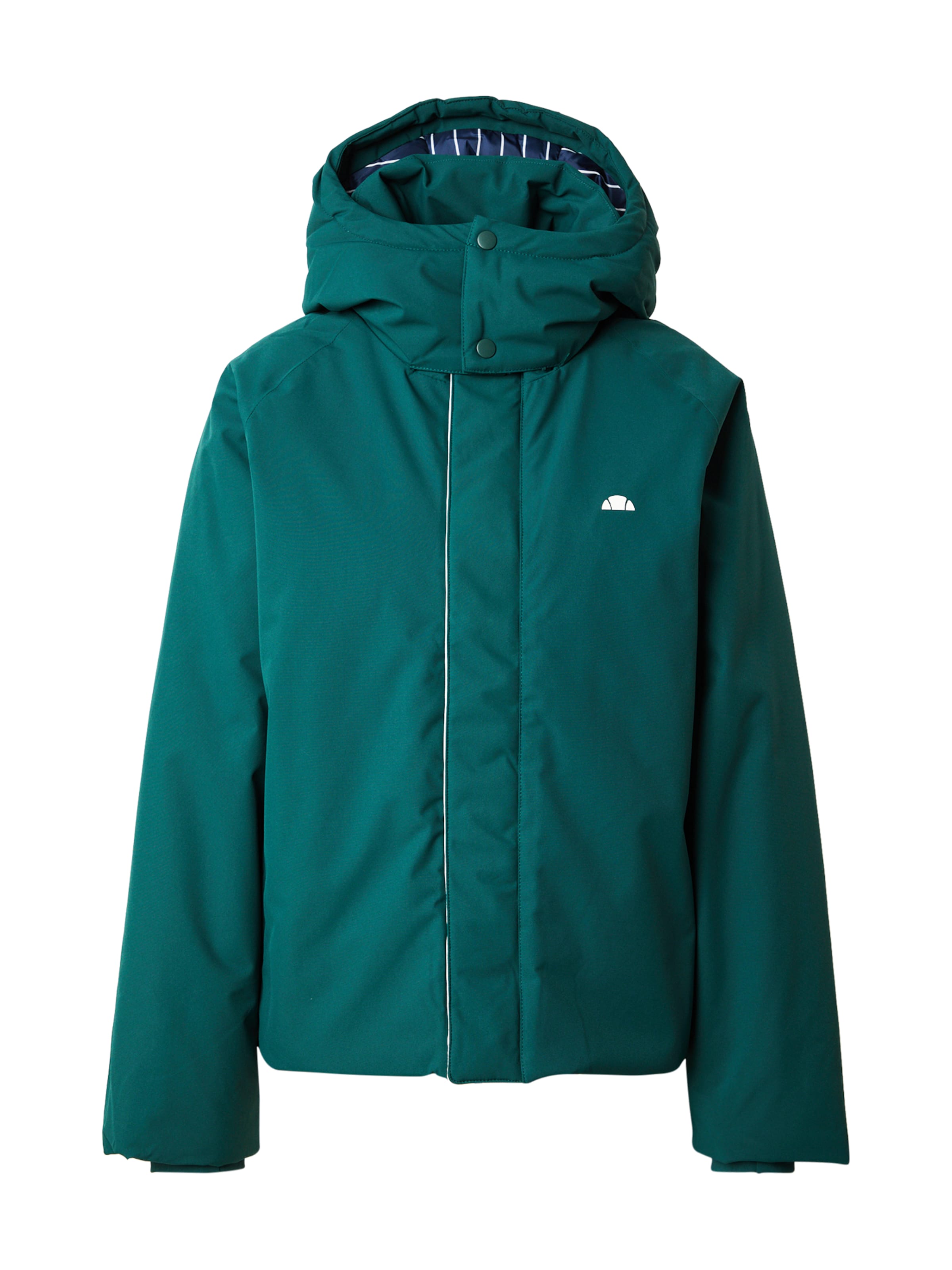 ELLESSE - Casaco de inverno 'Zenira' em verde: frente