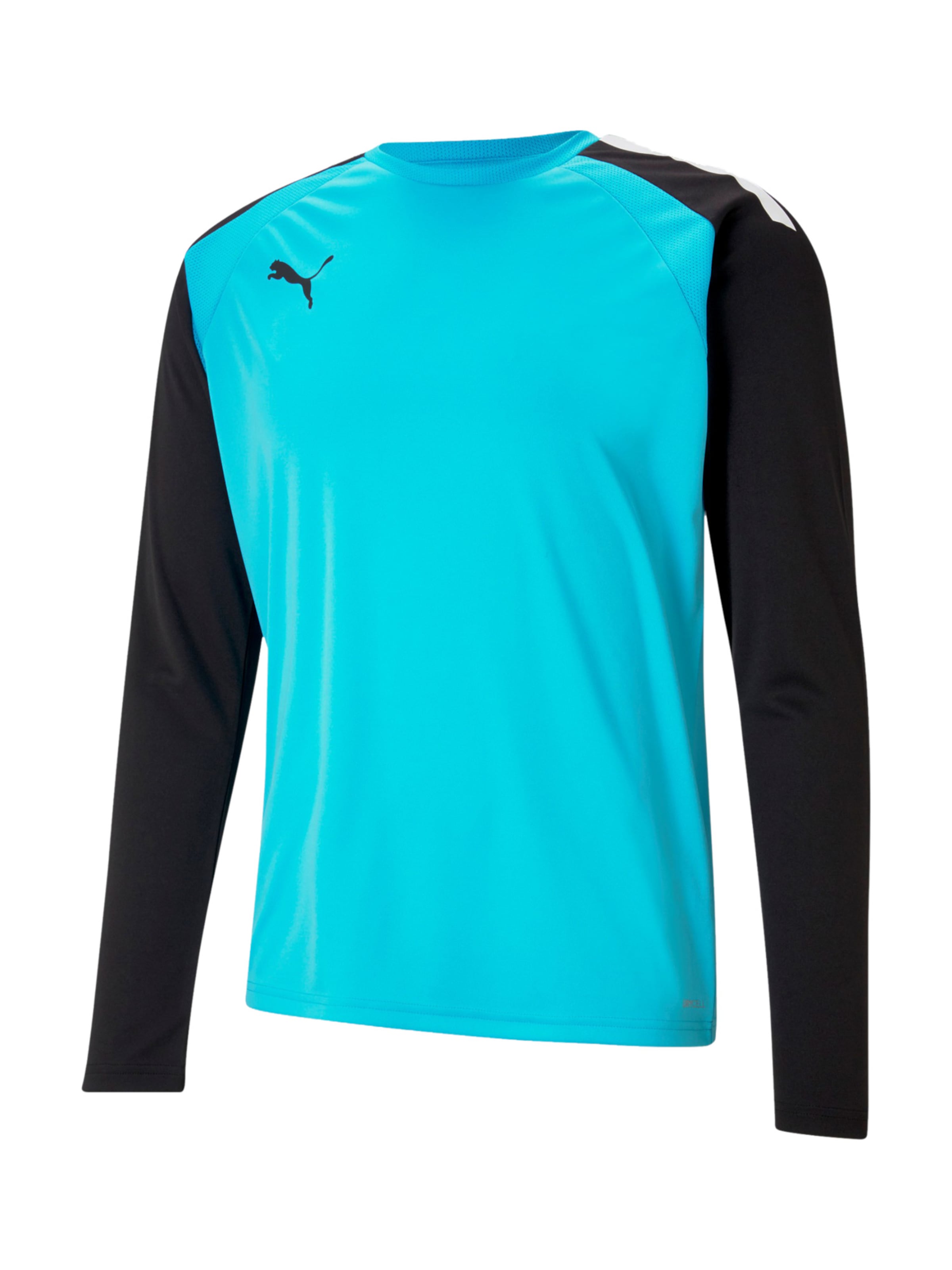 PUMA Jersey 'TeamPacer' in Blue: front