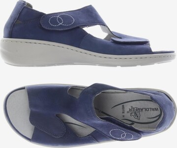 WALDLÄUFER Sandals & High-Heeled Sandals in 38 in Blue: front