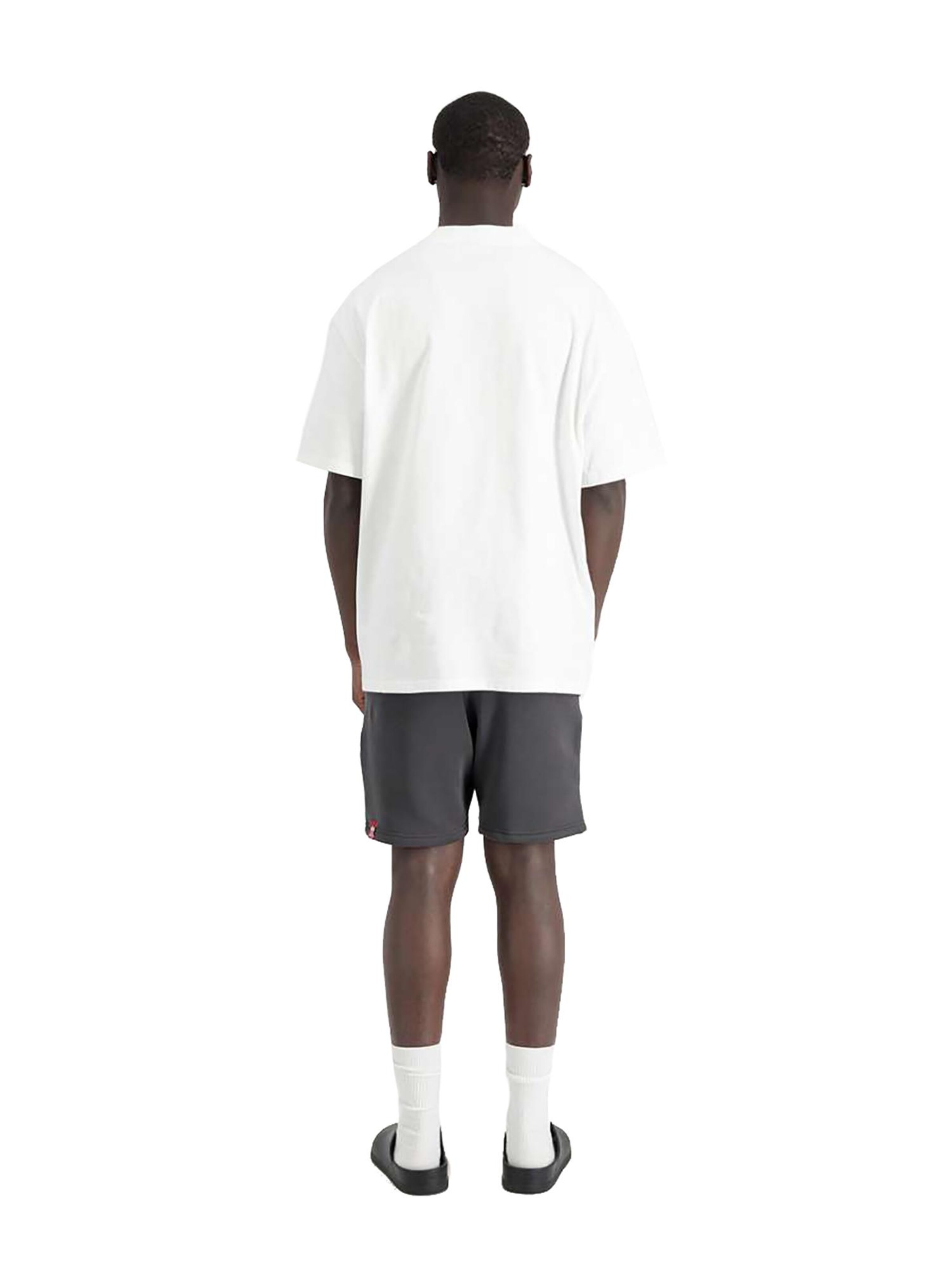 ALPHA INDUSTRIES Normální Kalhoty 'Alpha PP' – šedá