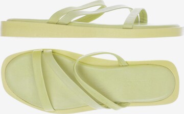 INUOVO Sandals & High-Heeled Sandals in 41 in Green: front