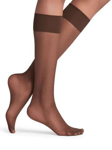 FALKE Knee High Socks 'Pure Matt' in Brown
