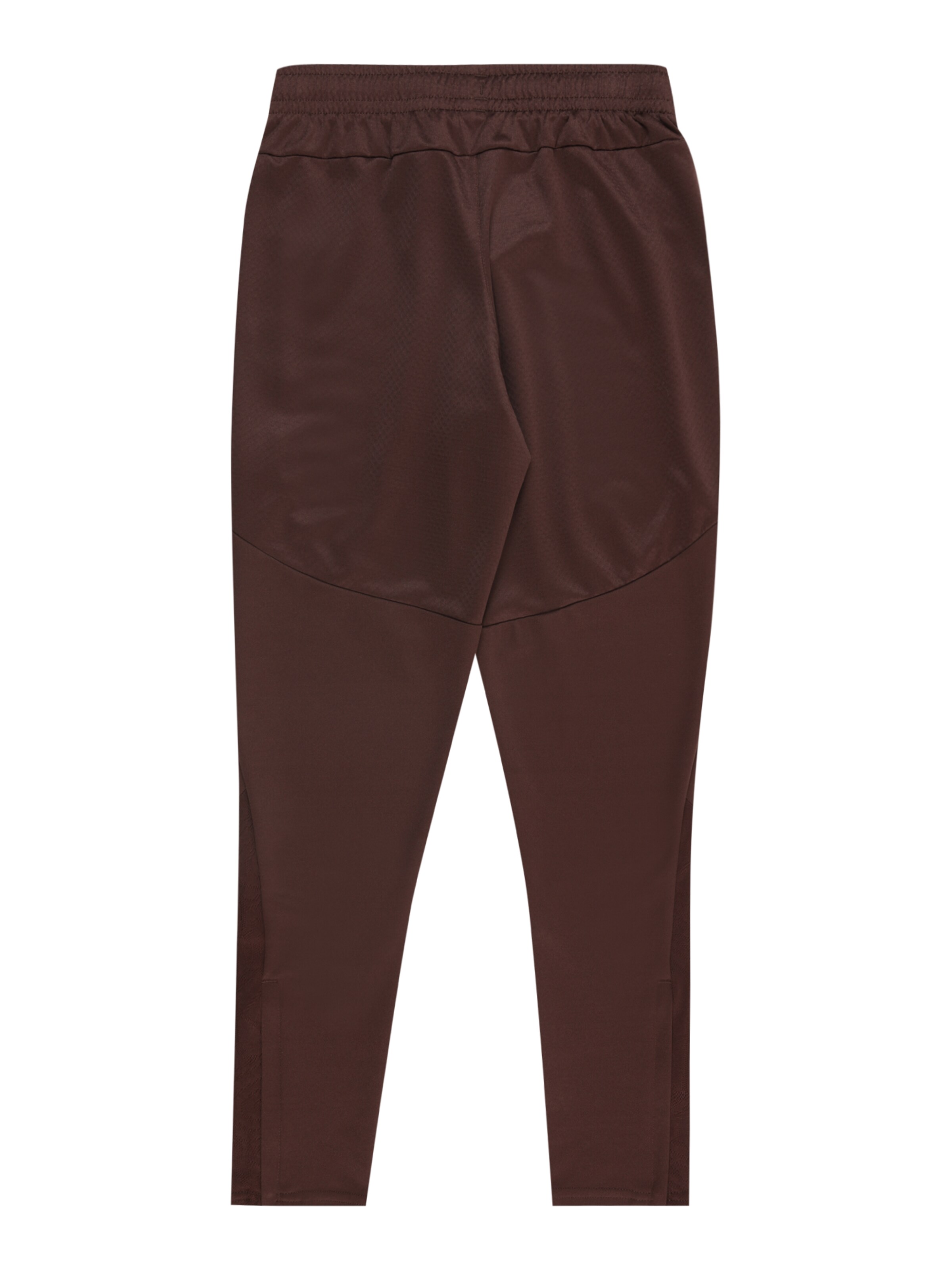 Tapered Pantaloni sport 'FC St. Pauli' de la PUMA pe maro