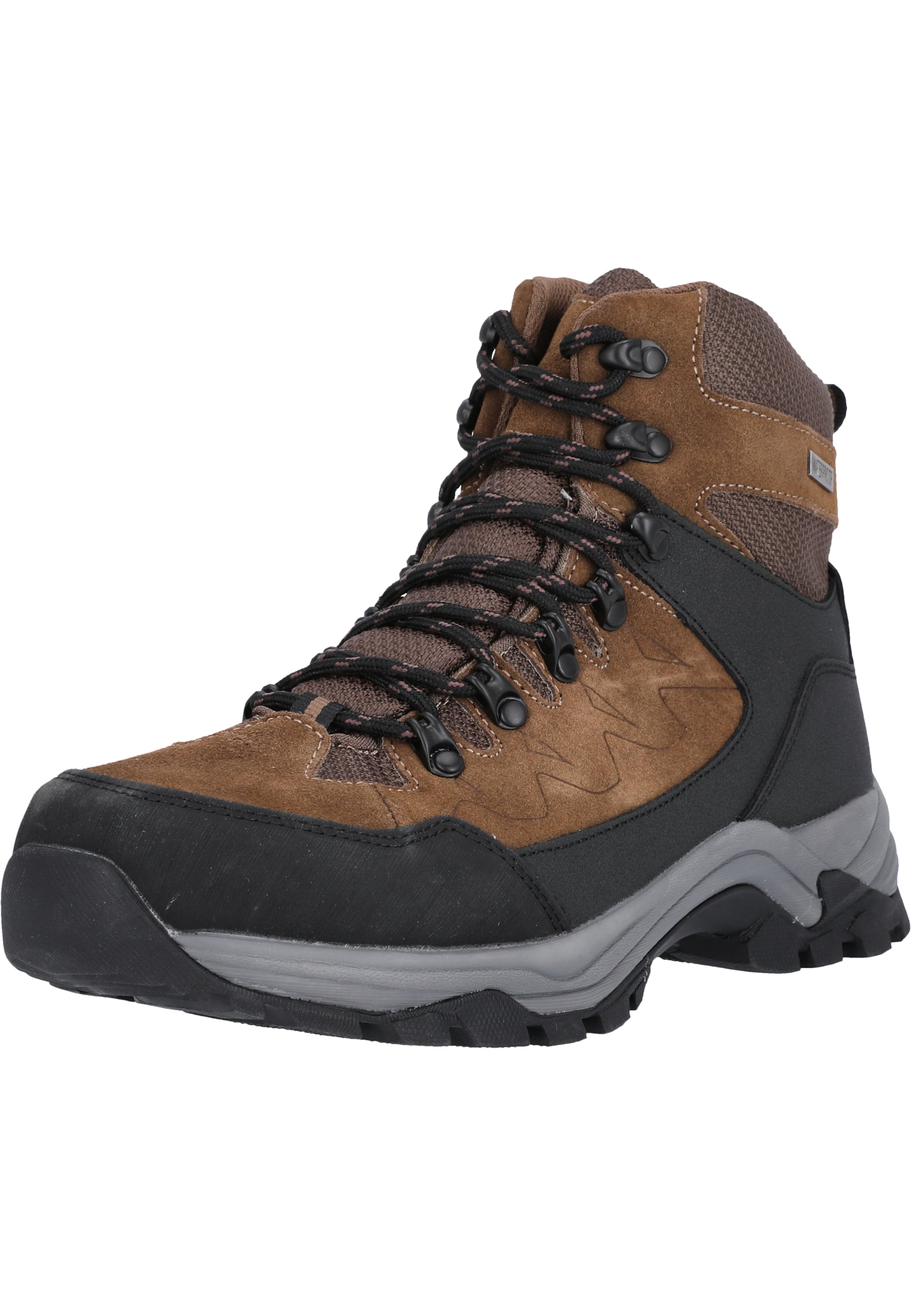 Whistler Boots 'Detion' in Brown: front