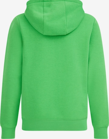 WE Fashion Sweatshirt in Green