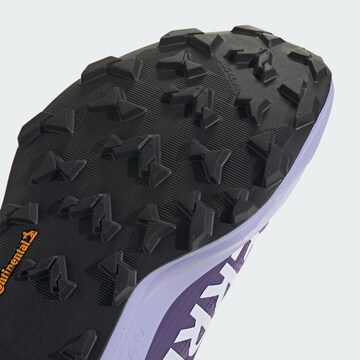 Chaussure basse 'Agravic TT' ADIDAS TERREX en violet