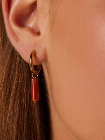 Boucles d'oreilles 'Colourful' Lucardi en or : devant