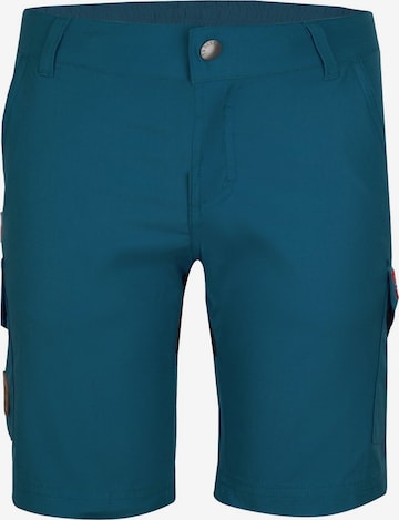 TROLLKIDS Workout Pants in Green: front