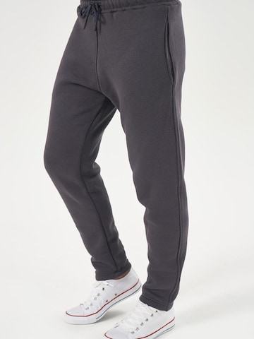 LOUIS LECLER Slim fit Trousers 'Lucien' in Grey