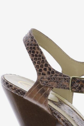 ASH Sandals & High-Heeled Sandals in 37 in Brown