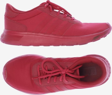 ADIDAS NEO Sneakers & Trainers in 39,5 in Red: front