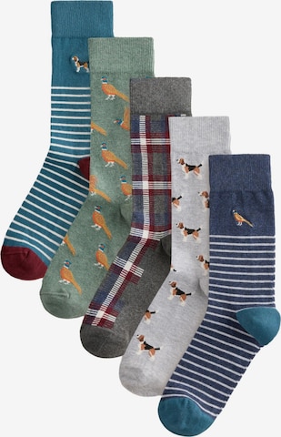 Next Socks in Mixed colours: front