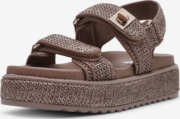 Sandalo di STEVE MADDEN in marrone: frontale
