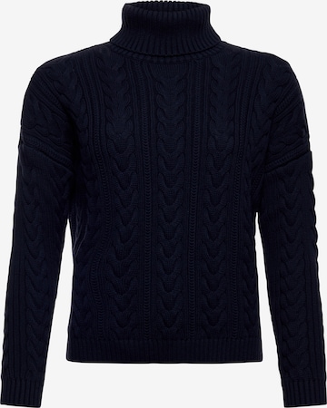 Superdry Rollkragenpullover in Blau: predná strana