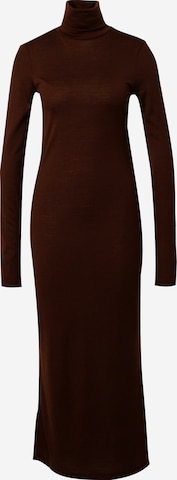 Polo Ralph Lauren Dress in Brown: front