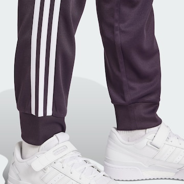 ADIDAS ORIGINALS Tapered Hose in Lila