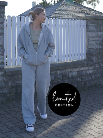 ABOUT YOU Limited - Sudadera con cremallera 'Lilou' en gris: frente