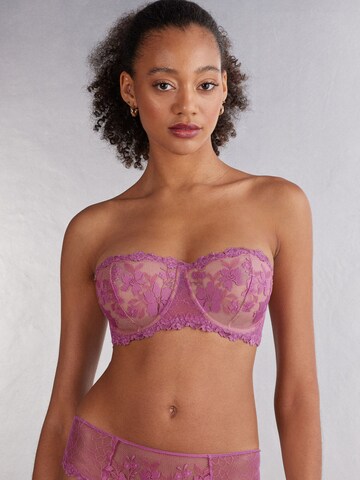 INTIMISSIMI Bandeau Bra 'IN FULL BLOOM' in Purple: front