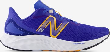 Chaussure de course 'Arishi v4' new balance en violet