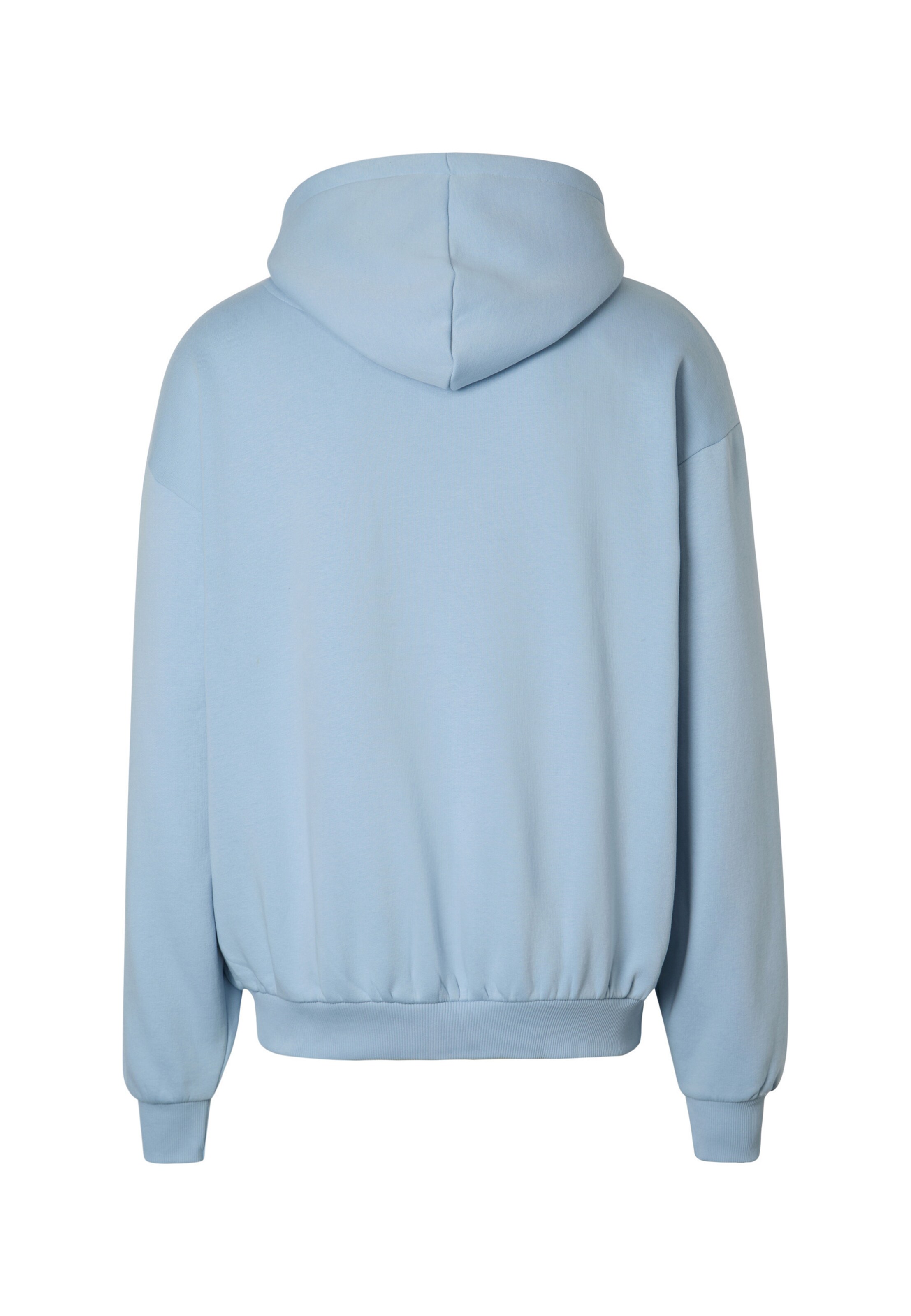 Karl Kani Sweatshirt in Blau: Rückseite