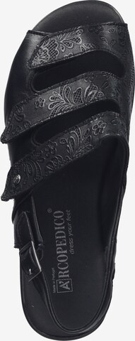 Arcopedico Sandalen met riem in Zwart