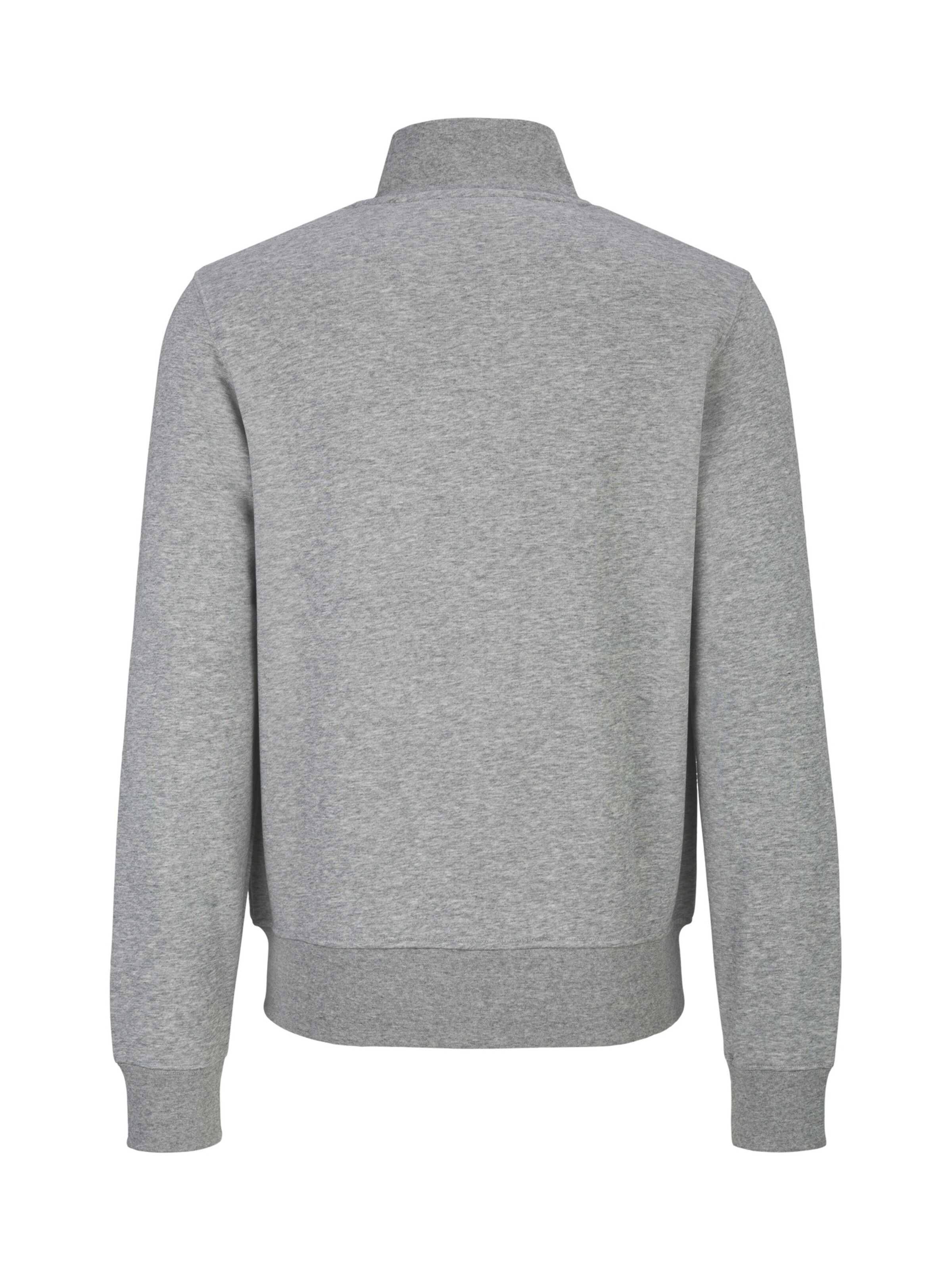 Veste de survêtement 'Zaan' 19V69 ITALIA en gris : derrière