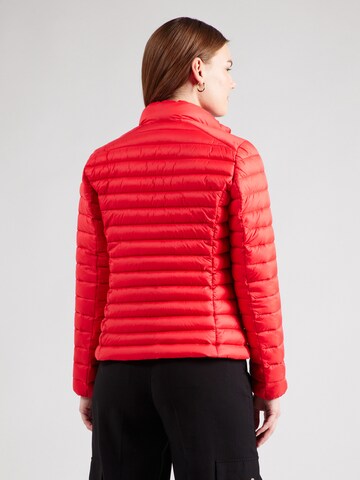SAVE THE DUCK Between-Season Jacket 'CARLY' in Red