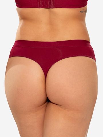 SugarShape String in Rood