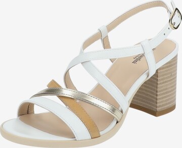 Nero Giardini Strap Sandals in White: front