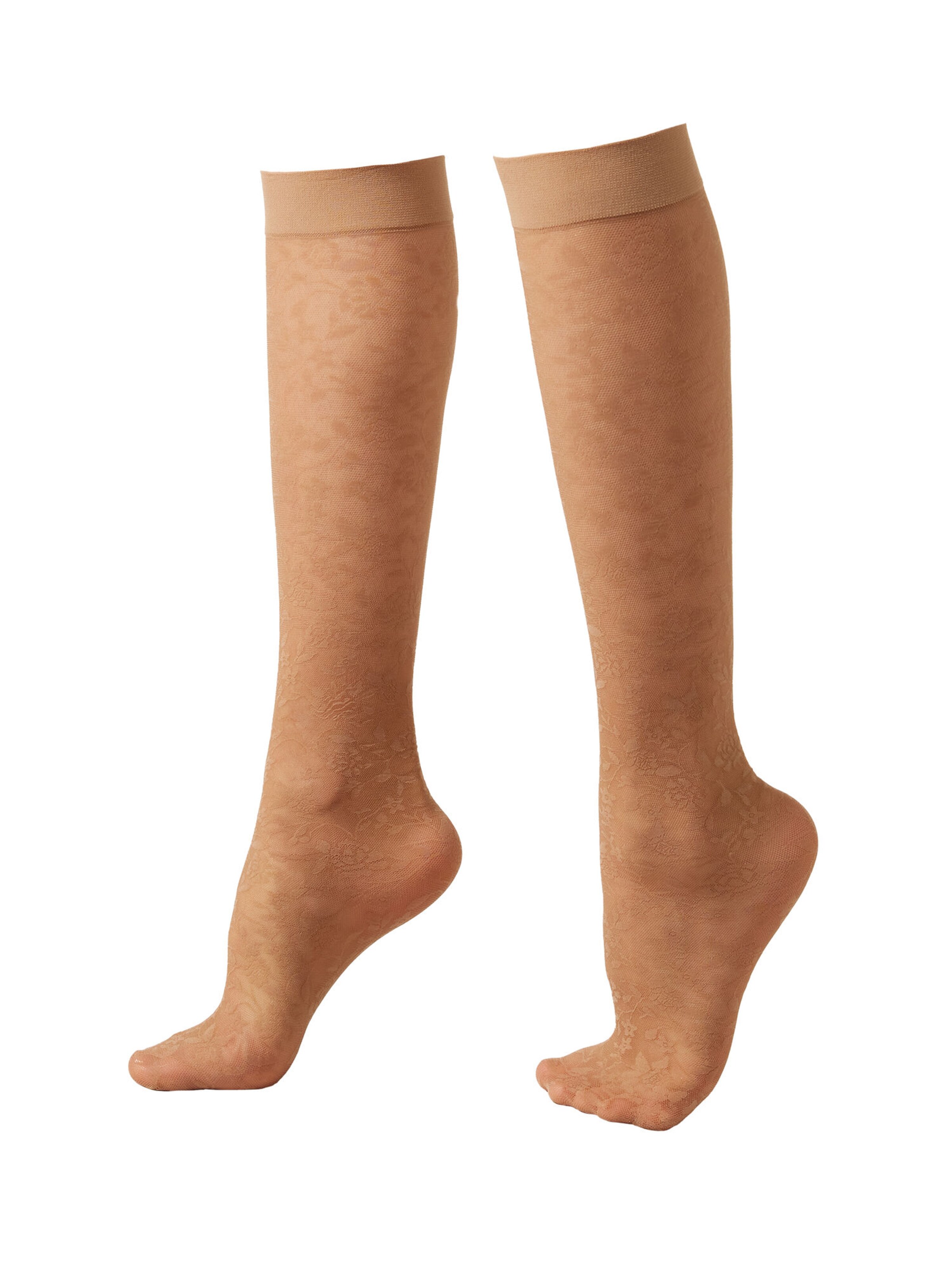 CALZEDONIA Kniestrümpfe in Beige: Vorderseite