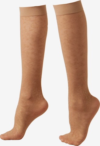 CALZEDONIA Knee High Socks in Beige: front