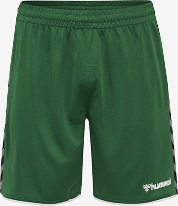 Hummel tavaline Spordipüksid, värv roheline: eest vaates