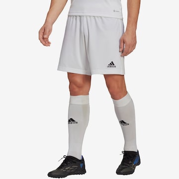 ADIDAS PERFORMANCE Regular Urheiluhousut 'Entrada 22' värissä valkoinen: etupuoli