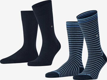 Chaussettes BURLINGTON en bleu : devant