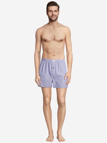 SEIDENSTICKER Boxer shorts 'Web' in Mixed colors