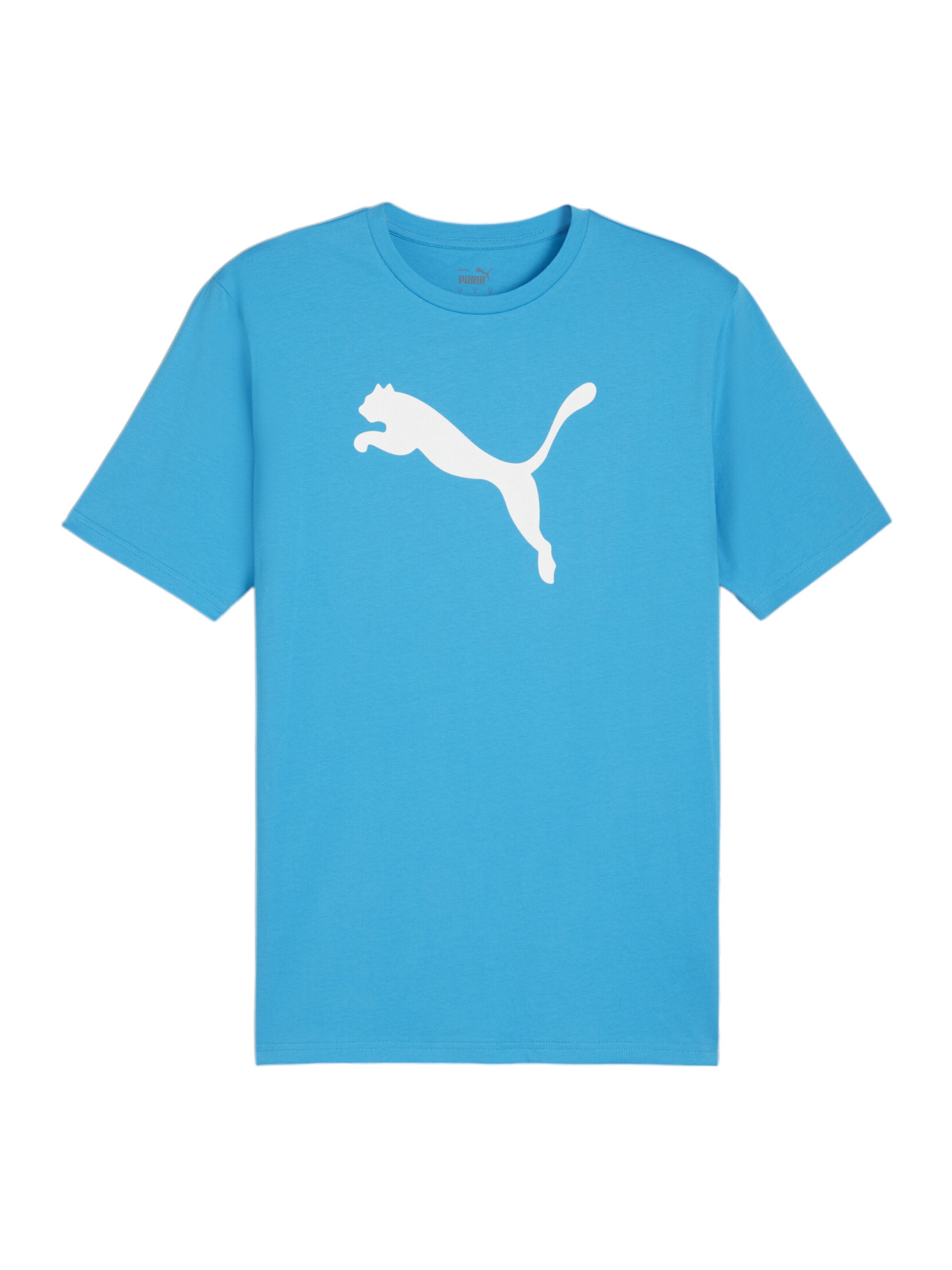PUMA Funktionsshirt 'TeamRise' in Blau: Vorderseite