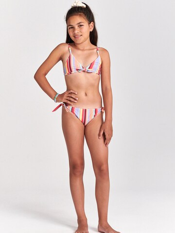 Shiwi Trikotni nedrčki Bikini 'ROSIE' | mešane barve barva