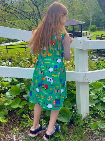 Toby Tiger Dress in Green