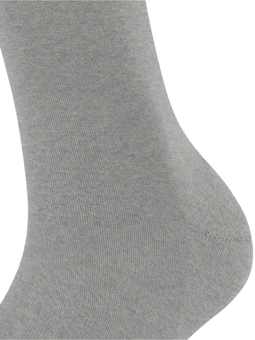 FALKE Socks in Grey