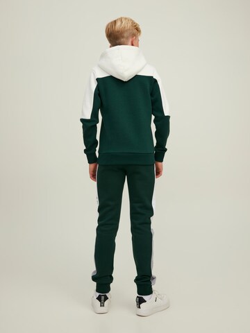 Jack & Jones Junior Sweatshirt 'Dan' in Green