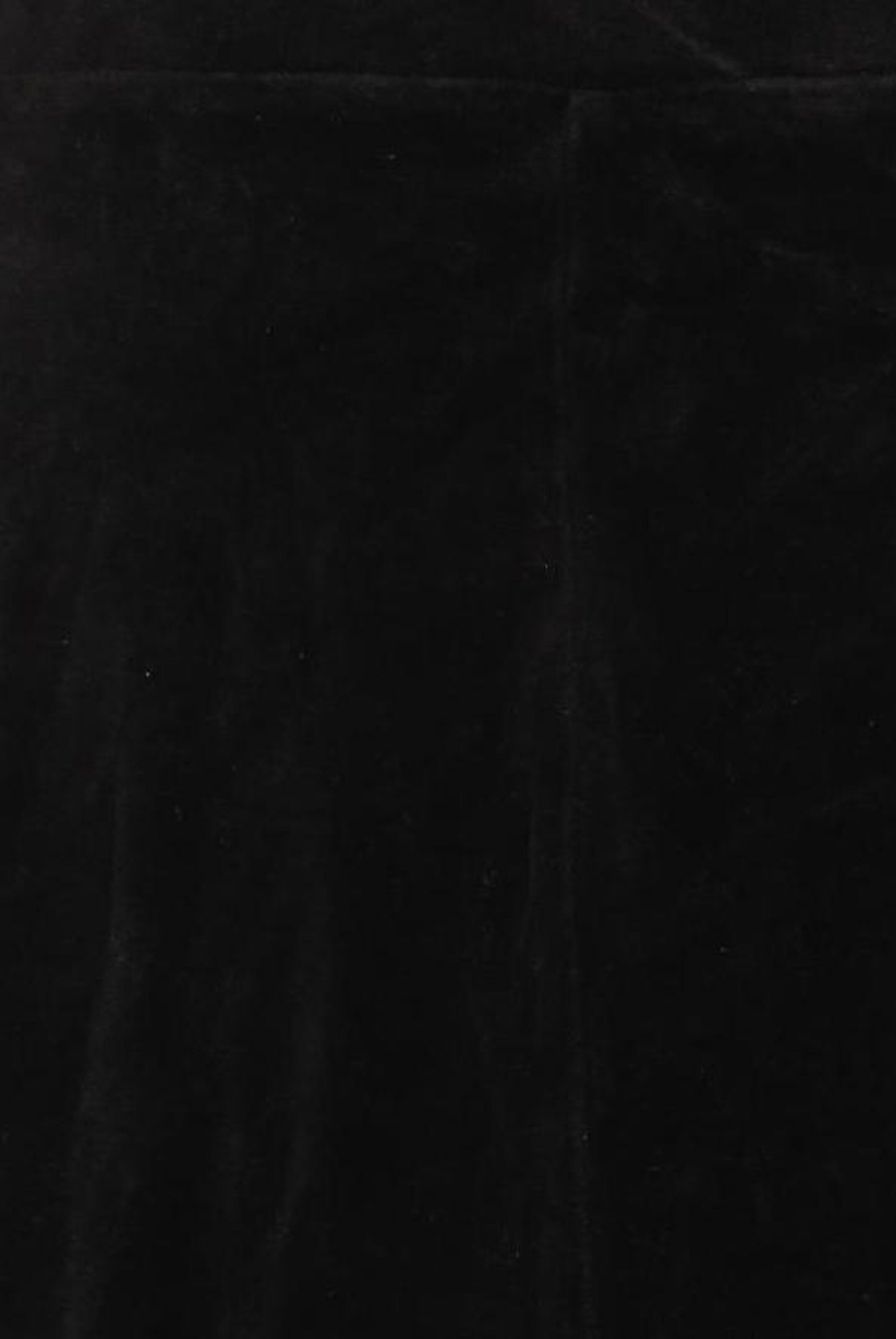 hessnatur Skirt in XXL in Black