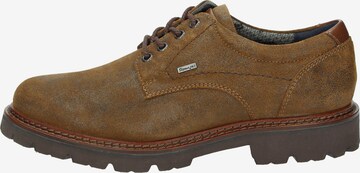 SIOUX Schnürschuh  'Adalrik-703-TEX' in Braun