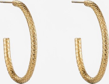 Cala Rose Ohrringe 'SNAKE' in Gold: Vorderseite