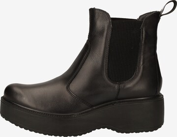 IGI&CO Chelsea Boots in Black