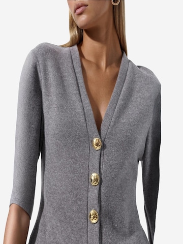 Busem Strickjacke 'Strickjacken'‌‌‌‌‌‌‌ in Grau
